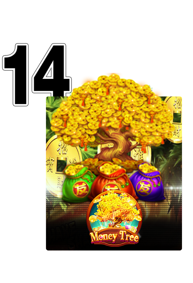 Superb-bet_S_WEB-Game-14